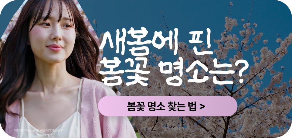 260210 블로그 하단 배너481x227 스마트 무브 추천 장소 서비스봄꽃